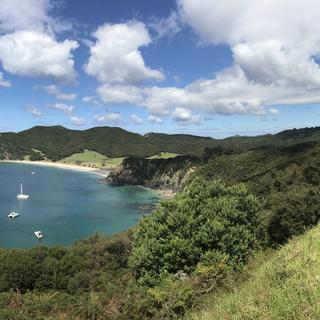 paysage
